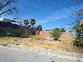  Land for sale in Torreon, Coahuila, Torreon
