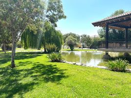  Grundstück zu verkaufen in Torreon, Coahuila, Torreon