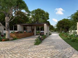  Land for sale in Valladolid, Yucatan, Valladolid
