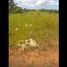  Land for sale in Sukabumi, West Jawa, Sukabumi, Sukabumi