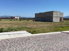  Grundstück zu verkaufen in Allende, Guanajuato, Allende