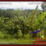  Land for sale in Marga, Tabanan, Marga