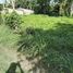  Terrain for sale in Negros Oriental, Negros Island Region, Sibulan, Negros Oriental