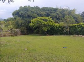  Land for sale in Pereira, Risaralda, Pereira