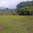  Land for sale in Pereira, Risaralda, Pereira