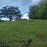  Land for sale in Pereira, Risaralda, Pereira