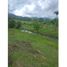  Land for sale in Pereira, Risaralda, Pereira