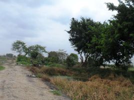  Terreno (Parcela) en venta en Durán, Guayas, Eloy Alfaro (Duran), Durán