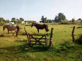  Land for sale in Canuelas, Buenos Aires, Canuelas