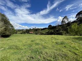 Terrain à vendre à Rionegro, Antioquia, Rionegro