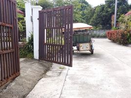 3 Schlafzimmer Haus zu vermieten in Negros Oriental, Negros Island Region, Sibulan, Negros Oriental