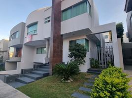 3 Schlafzimmer Wohnung zu verkaufen in Zapopan, Jalisco, Zapopan, Jalisco