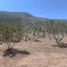  Grundstück zu verkaufen in Arteaga, Coahuila, Arteaga