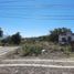  Land for sale in Sahuayo, Michoacan, Sahuayo