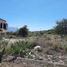  Land for sale in Sahuayo, Michoacan, Sahuayo