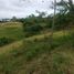  Land for sale in Pereira, Risaralda, Pereira