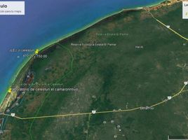  Grundstück zu verkaufen in Celestun, Yucatan, Celestun