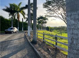  Terreno (Parcela) en venta en Ulloa, Valle Del Cauca, Ulloa