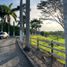  Land for sale in Ulloa, Valle Del Cauca, Ulloa