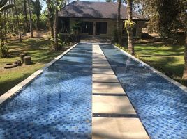 5 chambre Villa for sale in Jembrana, Bali, Negara, Jembrana