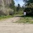  Land for sale in Neuquen, Huiliches, Neuquen