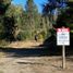  Land for sale in Neuquen, Huiliches, Neuquen