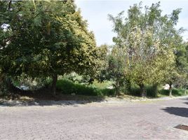  Terreno (Parcela) en venta en Zapopan, Jalisco, Zapopan