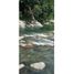  Villa for sale in Samana, Caldas, Samana