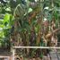  Tanah for sale in Pondok Aren, Banten, Pondok Aren, Tangerang, Banten