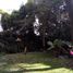  Grundstück zu verkaufen in Cuernavaca, Morelos, Cuernavaca, Morelos