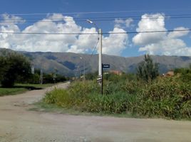  Land for sale in Junin, San Luis, Junin