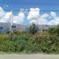  Land for sale in Junin, San Luis, Junin