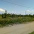  Land for sale in Junin, San Luis, Junin