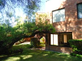 3 Habitación Casa en alquiler en Queretaro, Querétaro, Queretaro, Querétaro