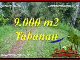  Land for sale in Kerambitan, Tabanan, Kerambitan