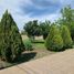 3 Bedroom House for sale in Bustamante, Nuevo Leon, Bustamante