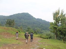  Land for sale in Bogor Selatan, Bogor, Bogor Selatan