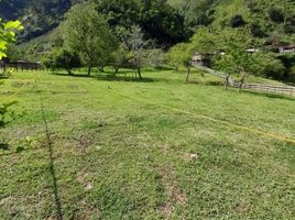  Land for sale in Manizales, Caldas, Manizales