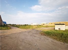  Land for sale in Sahuayo, Michoacan, Sahuayo