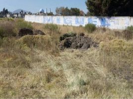  Grundstück zu verkaufen in Almoloya De Juarez, Mexico, Almoloya De Juarez