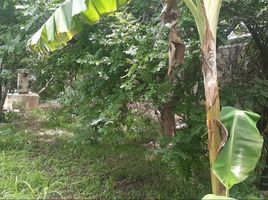  Terreno (Parcela) en venta en Merida, Yucatán, Merida, Yucatán