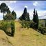  Terreno (Parcela) en venta en Guarne, Antioquia, Guarne