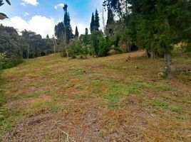  Terreno (Parcela) en venta en Guarne, Antioquia, Guarne