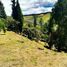 Terreno (Parcela) en venta en Guarne, Antioquia, Guarne