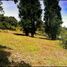 Terreno (Parcela) en venta en Guarne, Antioquia, Guarne