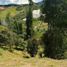  Terreno (Parcela) en venta en Guarne, Antioquia, Guarne