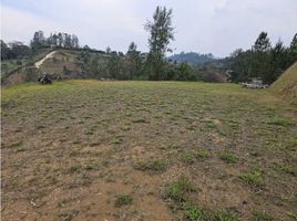  Terreno (Parcela) en venta en Penol, Antioquia, Penol