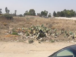 Land for sale in Hidalgo, Zempoala, Hidalgo