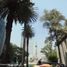 90 m² Office for rent in Mexico City, Azcapotzalco, Mexico City