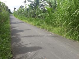  Grundstück zu verkaufen in Gianyar, Bali, Tegallalang